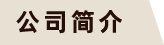 公司简介